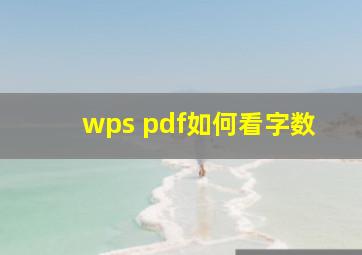 wps pdf如何看字数